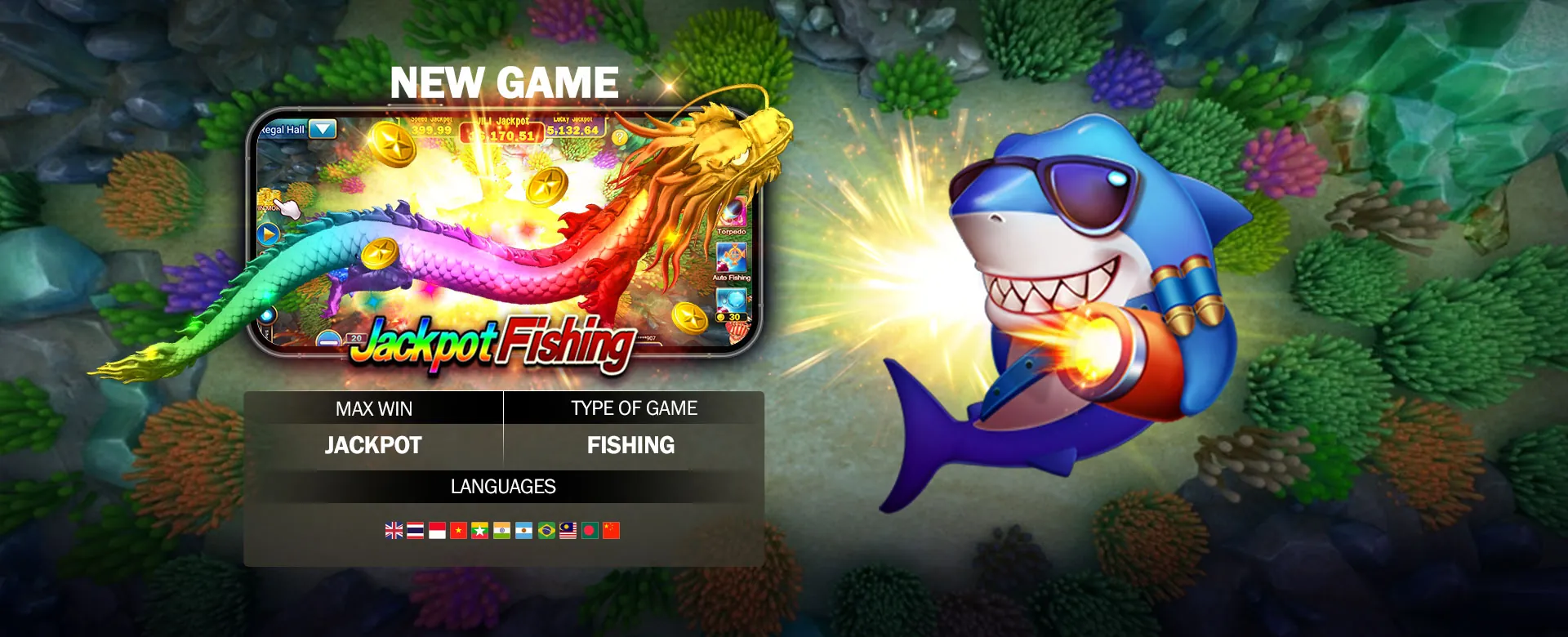 Experience BIGWIN Live Casino - Real Dealers, Real Thrills